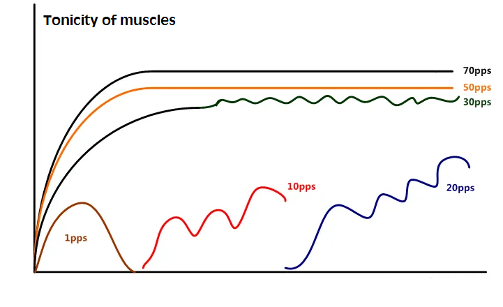 The relationship between stimulation frequency and muscle rigidity.png The relationship between stimulation frequency and muscle rigidity.png