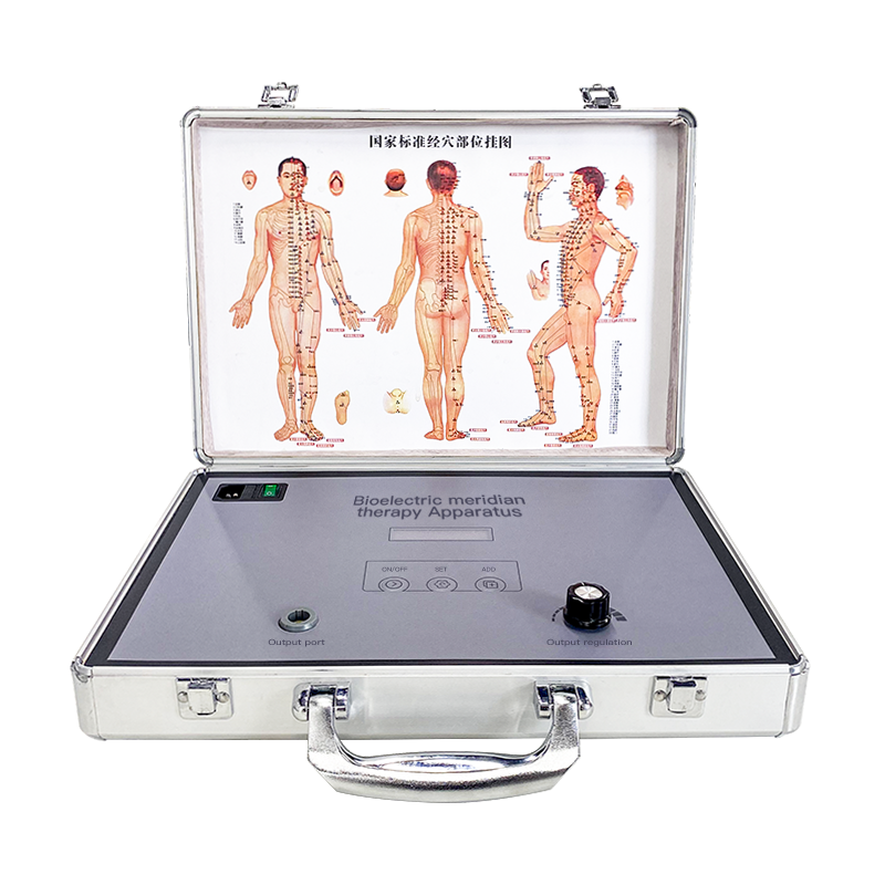 Bioelectric meridian therapy apparatus bio electrotherapy acupuncture machine
